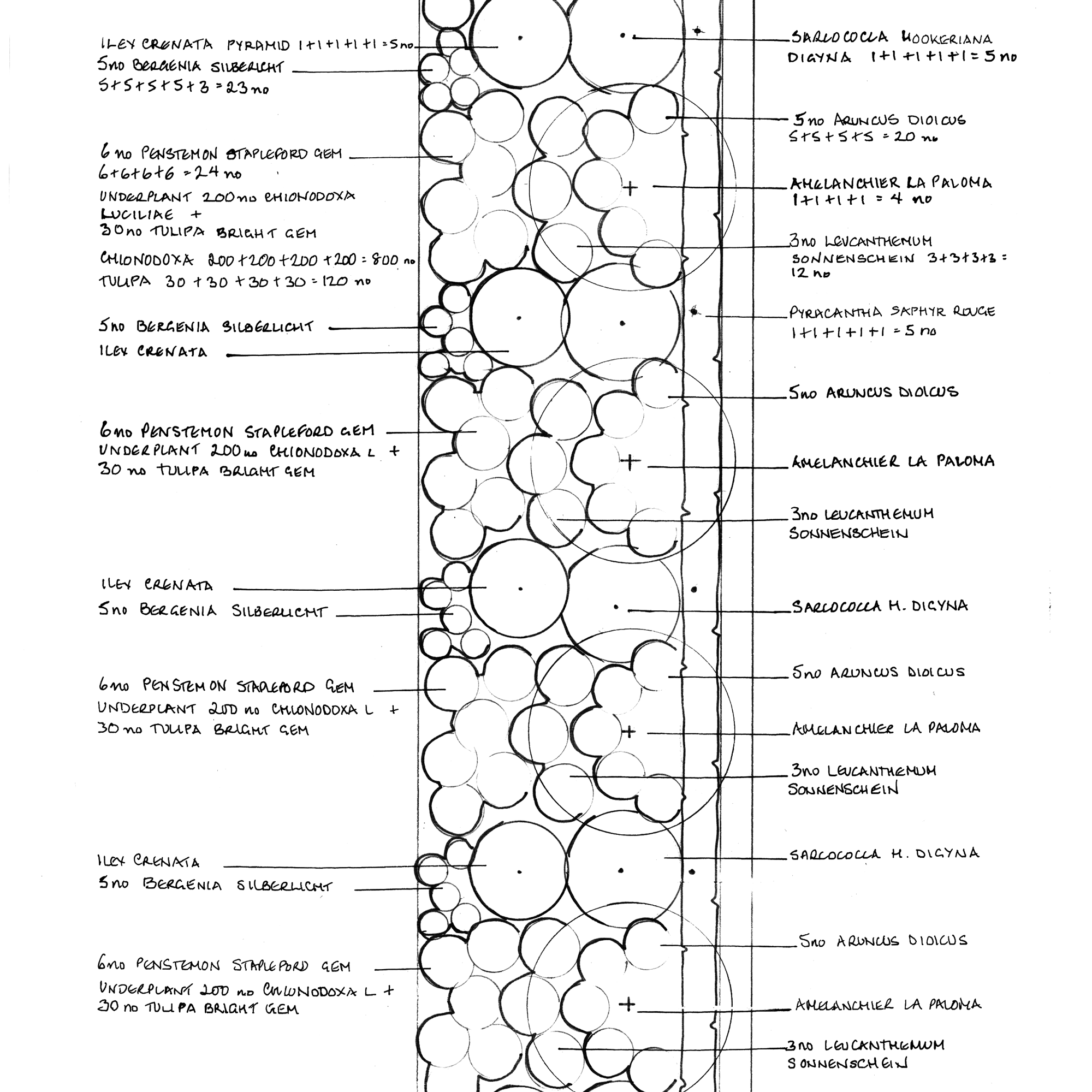 Example planting plan produced for postal and email garden design service