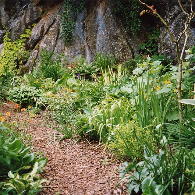 Country garden with recreated woodland in Gurney Slade, Somerset